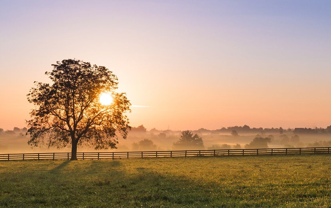 KY Farmland